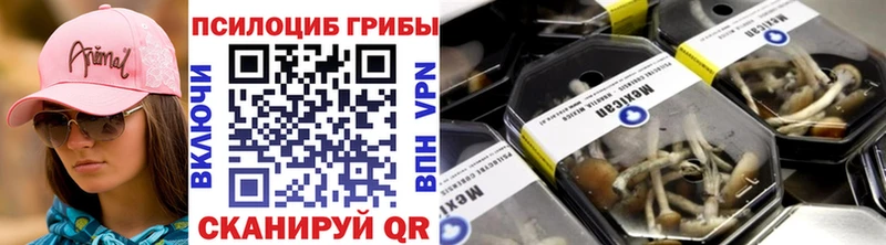 Галлюциногенные грибы Psilocybine cubensis  Мостовской 