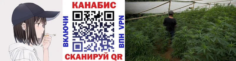 Бошки Шишки сатива  Мостовской 